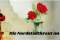 Die Nordstadtbraut im Exil 1 FitMaxWzkzMCwzMzZd FitMaxWzkzMCwzMzZd v6